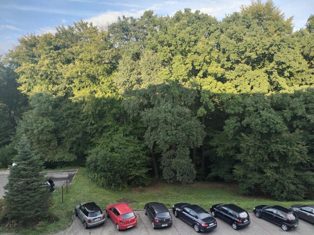 Apartment Nowoczesne Mieszkanie 63m2 *